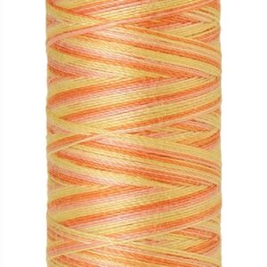 Mettler Silk-Finish Cotton Multi 50 100m: 9833