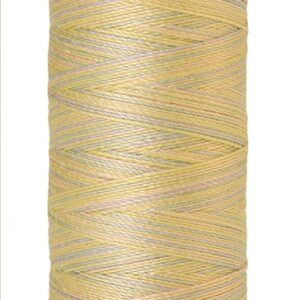 Mettler Silk-Finish Cotton Multi 50 100m: 9844