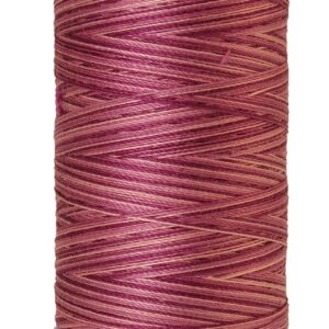 Mettler Silk-Finish Cotton Multi 50 Thread 457m: 9839