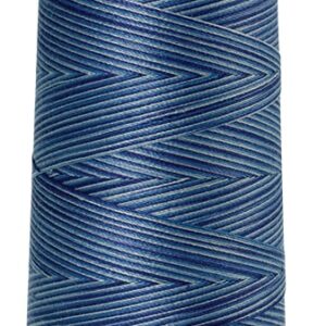 Mettler Silk-Finish Cotton Multi 50 Thread 1372m: 9812