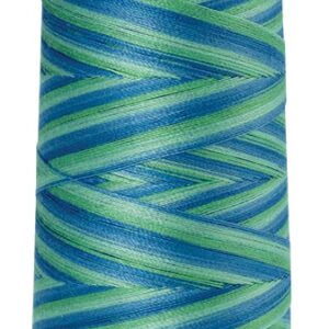 Mettler Silk-Finish Cotton Multi 50 Thread 1372m: 9814