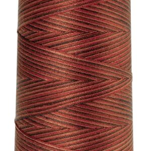 Mettler Silk-Finish Cotton Multi 50 Thread 1372m: 9852