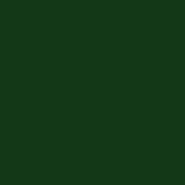Spectrum Solids by Makower: Dark Green (2000/J08)