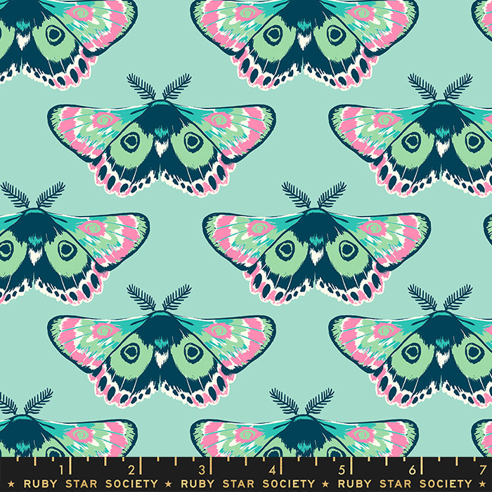 Firefly by Sarah Watts of Ruby Star Society for Moda Fabrics: Glow Moth - Frost (RS2067-14)