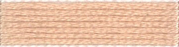 Anchor Stranded Embroidery Thread (shades 861-9575)
