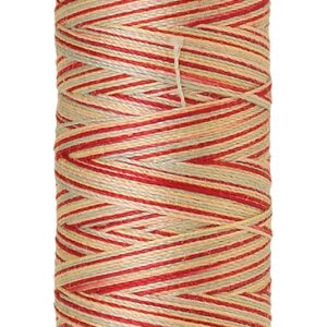 Mettler Silk-Finish Cotton Multi 50 100m: 9849