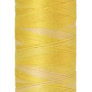 Mettler Silk-Finish Cotton Multi 50 100m: 9859
