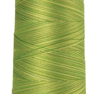 Mettler Silk-Finish Cotton Multi 50 Thread 1372m: 9817