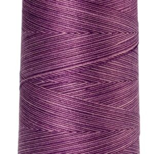 Mettler Silk-Finish Cotton Multi 50 Thread 1372m: 9838