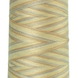 Mettler Silk-Finish Cotton Multi 50 Thread 1372m: 9854