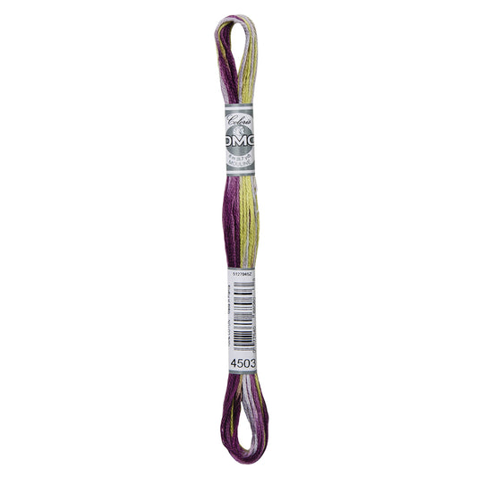 DMC Coloris: 4503