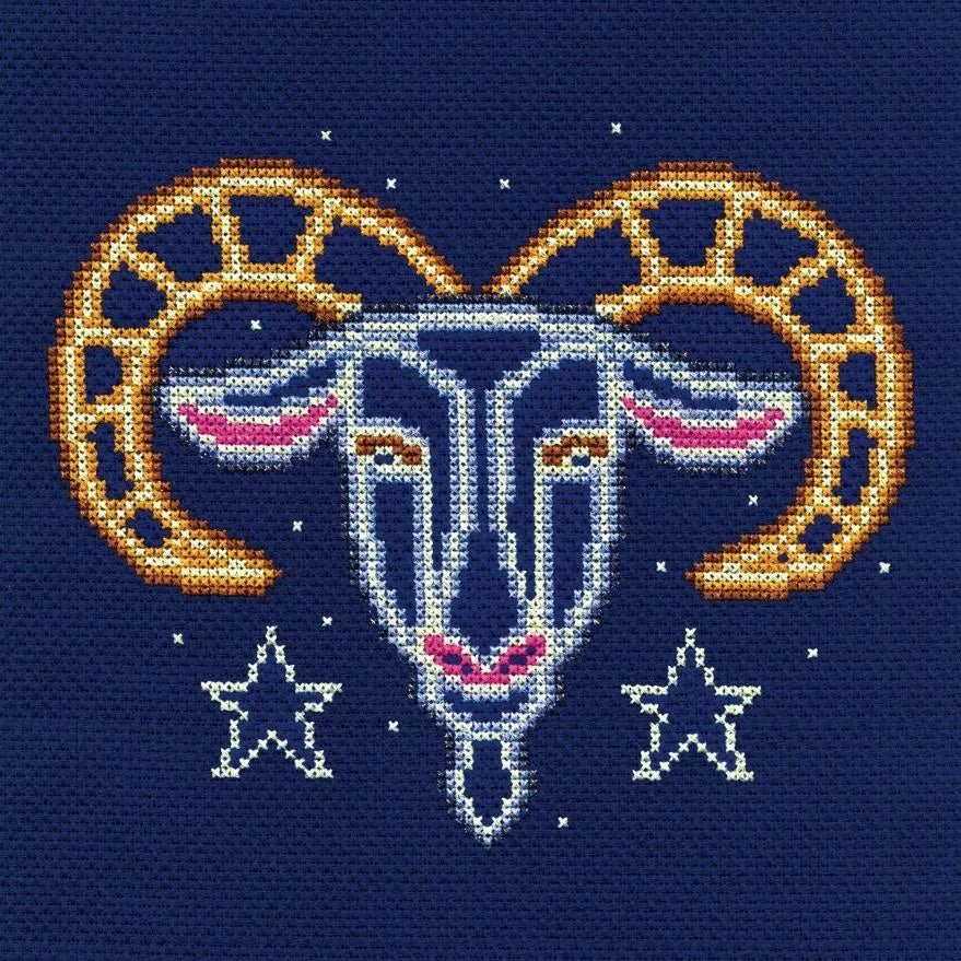 DMC Star Sign Cross Stitch Kit: Capricorn