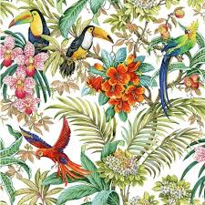 Exotica by Michael Miller Fabrics: Rainforest Habitat - White (DCX10272-WHIT-D)