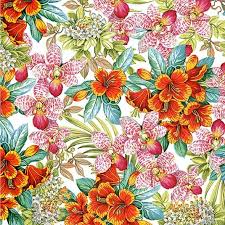 Exotica by Michael Miller Fabrics: Vibrant Flowers - White (DCX10273-WHIT-D)