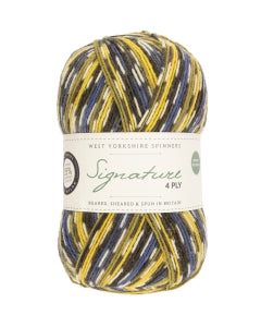 West Yorkshire Spinners Signature 4 Ply: Evergreen (1235)