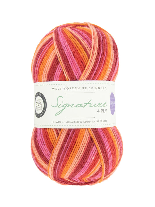 West Yorkshire Spinners Signature 4 Ply (Winwick Mum Collection): Autumn Leaves (885)