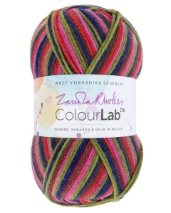 West Yorkshire Spinners ColourLab DK Zandra Rhodes - Zandra's Rainbow (1033)