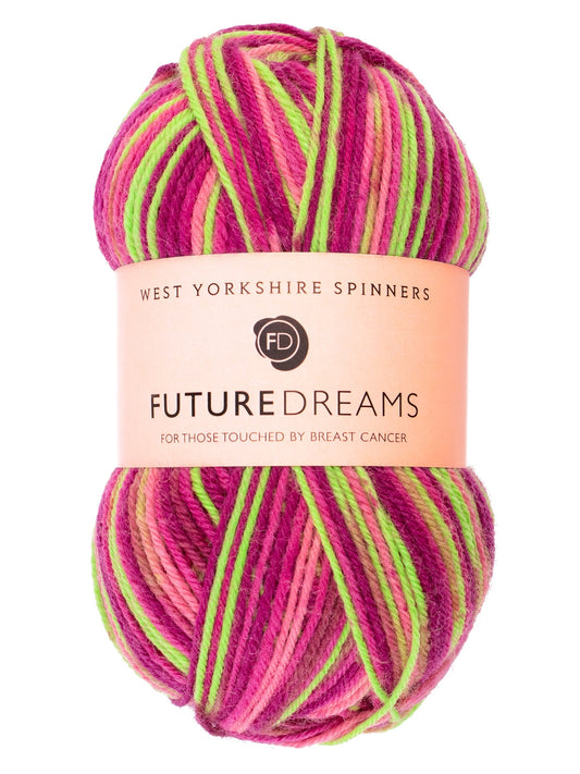 West Yorkshire Spinners ColourLab DK: Future Dreams (1197)