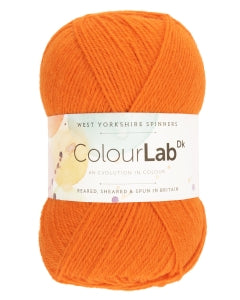 West Yorkshire Spinners ColourLab DK - Fern Green (1207)