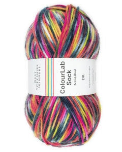 West Yorkshire Spinners ColourLab Sock DK - Punk (1203)